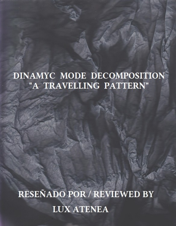 DINAMYC MODE DECOMPOSITION - A TRAVELLING PATTERN