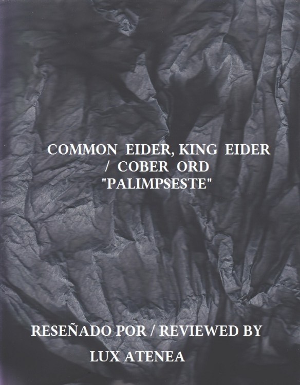 COMMON EIDER KING EIDER COBER ORD - PALIMPSESTE