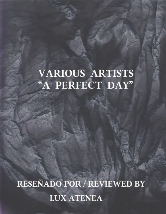 VARIOUS ARTISTS - A PERFECT DAY
