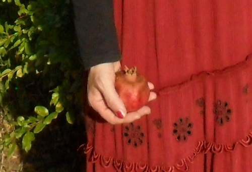 ATARAXIA POMEGRANATE