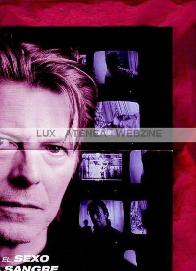 poster david bowie the hunger