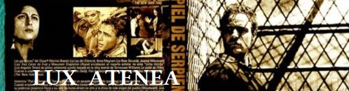 DVD PIEL DE SERPIENTE the fugitive kind pic1