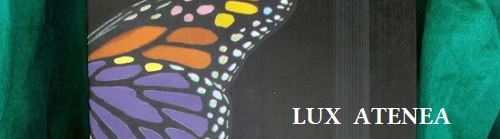 STEFAN ZWEIG LA EMBRIAGUEZ DE LA METAMORFOSIS EL ACANTILADO pic1