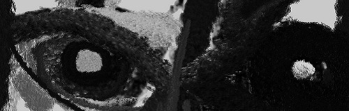 DARJA KAZIMIRA MONOCHROMIA cover Cyclic Law pic1