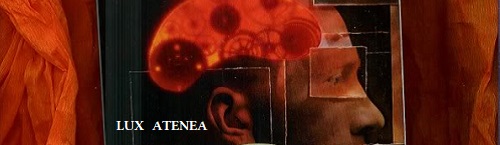 EL CEREBRO DEL REY NOLASC ACARIN TUSELL RBA pic2