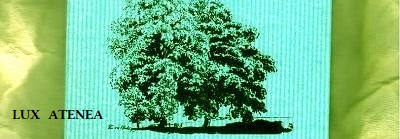 FRIEDRICH HÖLDERLIN ODAS HIPERION pic3