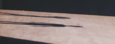 The Beautiful Schizophonic Shelter cover 2