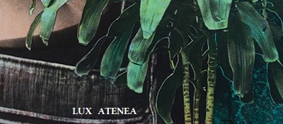 400 Lonely Things - Mother Moon cover 4