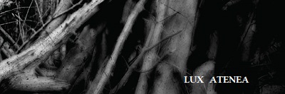 Satori - The Woods cover 4