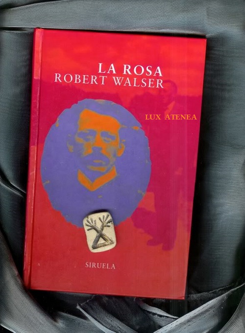 ROBERT WALSER LA ROSA