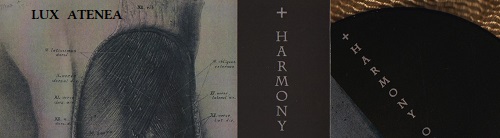 HARMONY OF STRUGGLE - BRUTAL AESTHETICS pic2