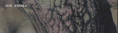 HARMONY OF STRUGGLE - BRUTAL AESTHETICS pic3