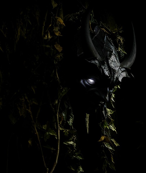 HIEMIS MALLEUS MALEFICARUM pic2