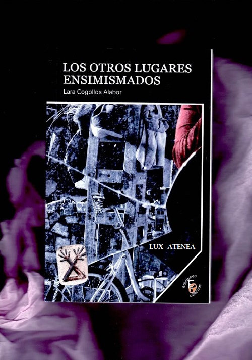 LARA COGOLLOS ALABOR LOS OTROS LUGARES ENSIMISMADOS