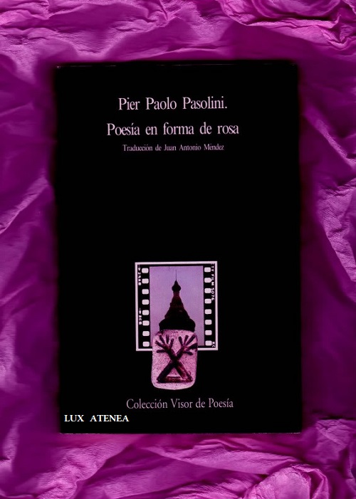 PIER PAOLO PASOLINI POESIA EN FORMA DE ROSA