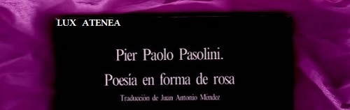 PIER PAOLO PASOLINI POESIA EN FORMA DE ROSA pic1